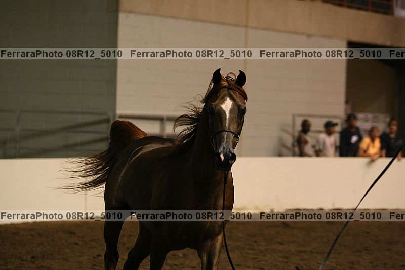 Proof 08r12_5010