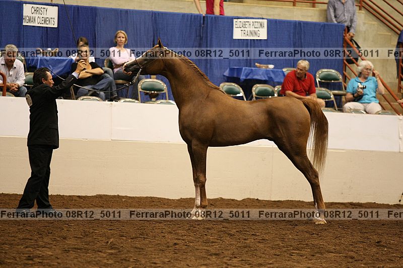 Proof 08r12_5011
