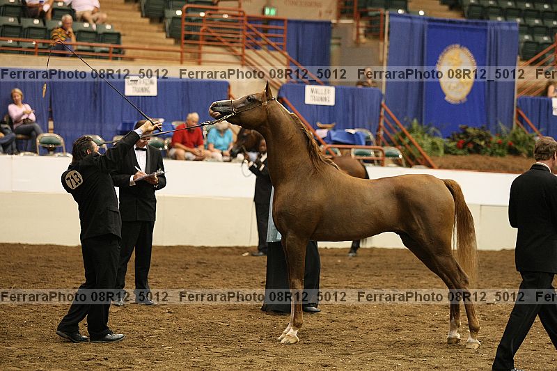 Proof 08r12_5012