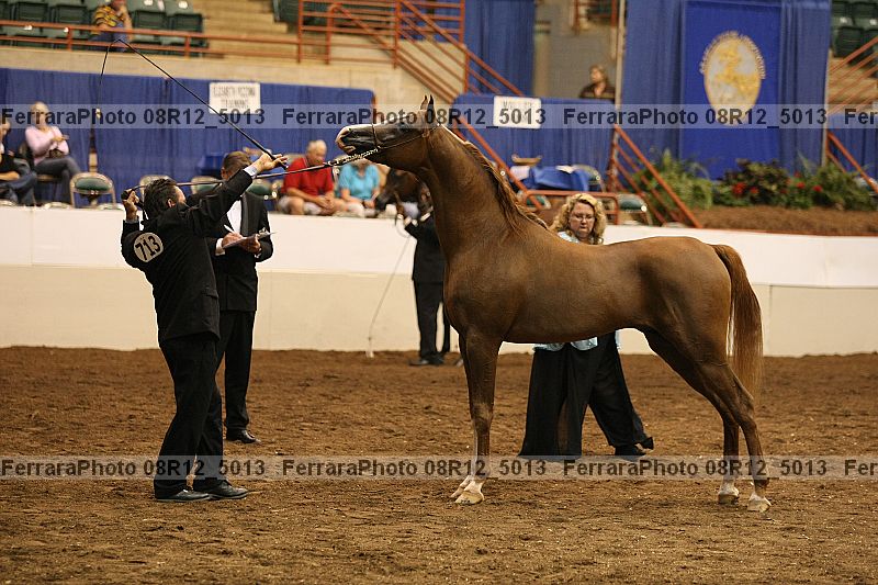 Proof 08r12_5013