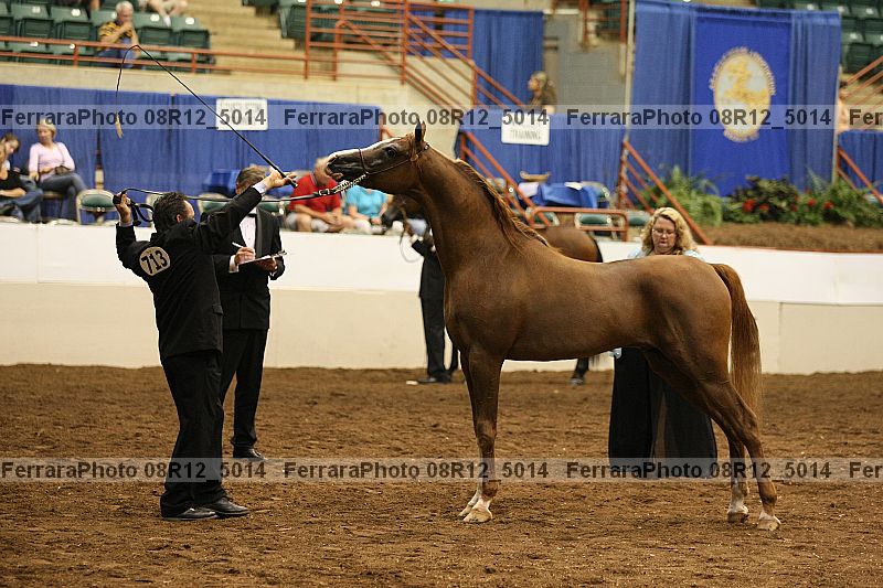 Proof 08r12_5014