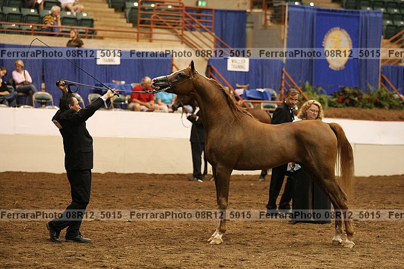 Proof 08r12_5015