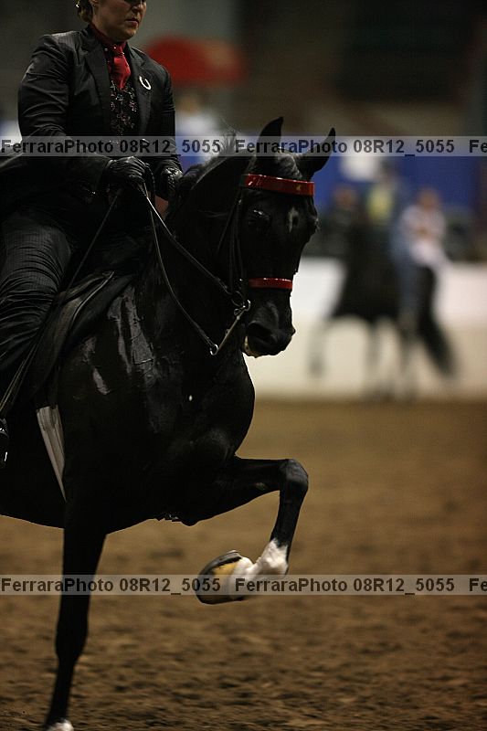 Proof 08r12_5055