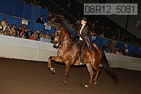 08r12_5081 proof