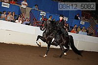 08r12_5082 proof