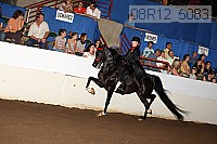 08r12_5083 proof