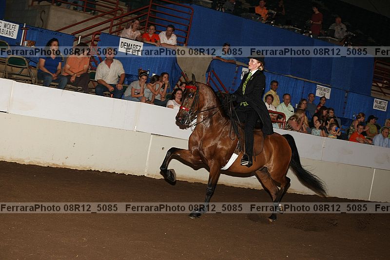 Proof 08r12_5085
