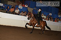 08r12_5085 proof
