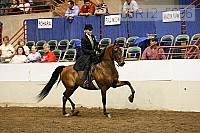 08r12_5096 proof