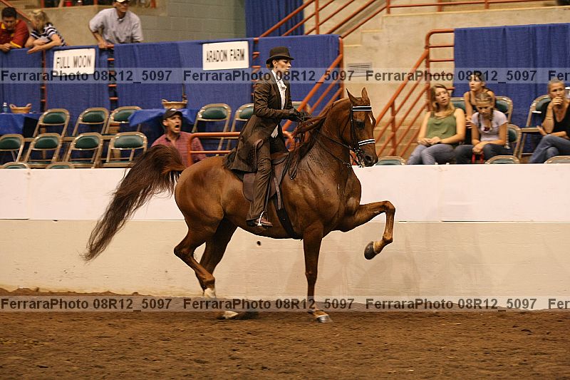 Proof 08r12_5097