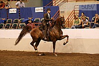 08r12_5097 proof