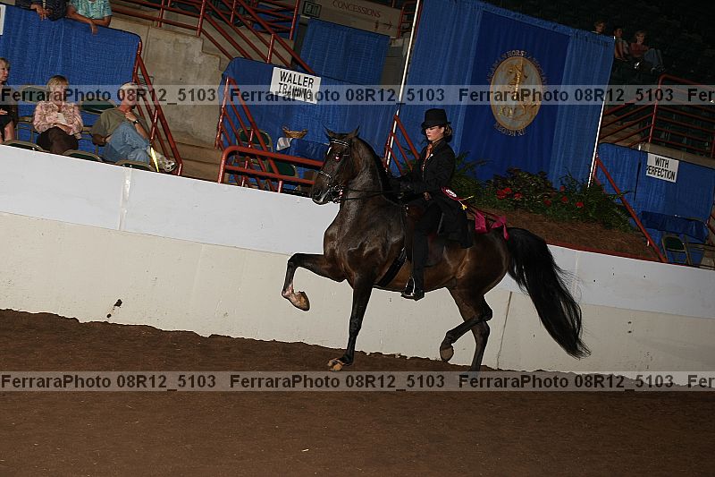 Proof 08r12_5103