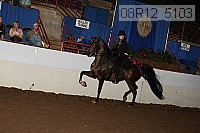 08r12_5103 proof