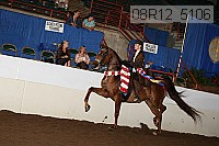 08r12_5106 proof