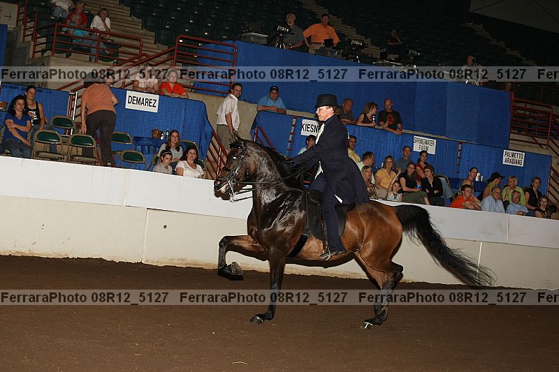 Proof 08r12_5127