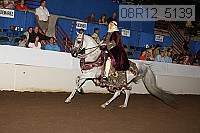08r12_5139 proof