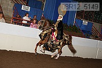 08r12_5149 proof