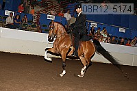 08r12_5174 proof