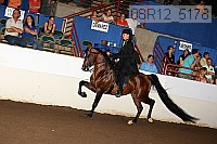08r12_5178 proof