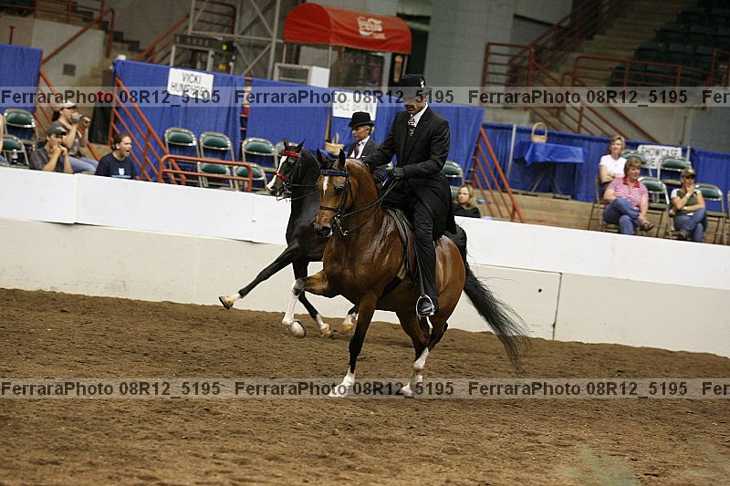 Proof 08r12_5195
