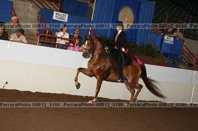 Proof 08r12_5199