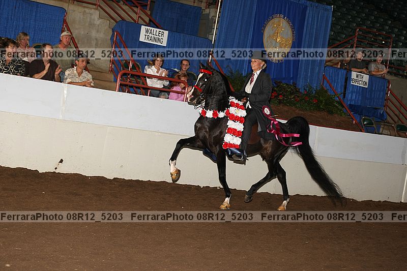 Proof 08r12_5203