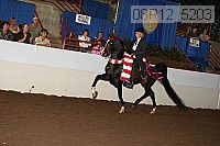 08r12_5203 proof