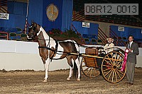 08r12_0013 proof