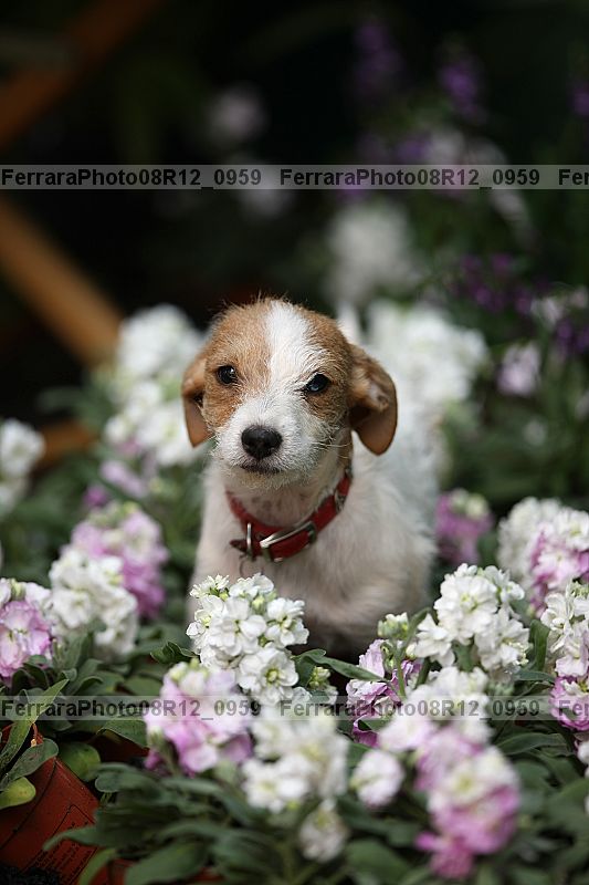 Proof 08r12_0959