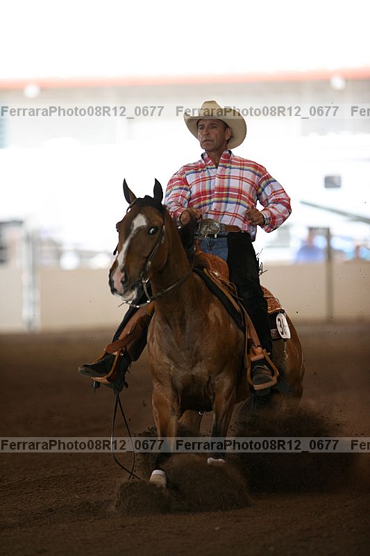Proof 08r12_0677