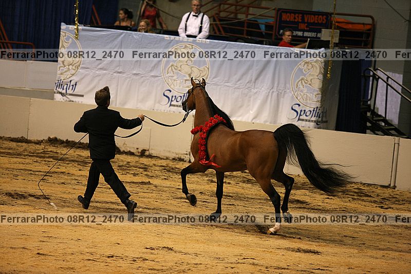 Proof 08r12_2470