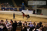 08r12_2472 proof