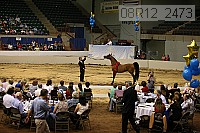 08r12_2473 proof
