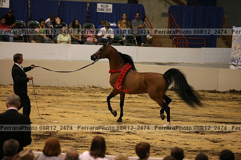 Proof 08r12_2474