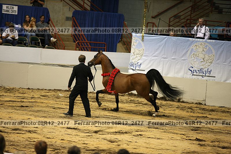 Proof 08r12_2477