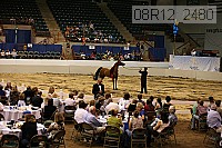 08r12_2480 proof