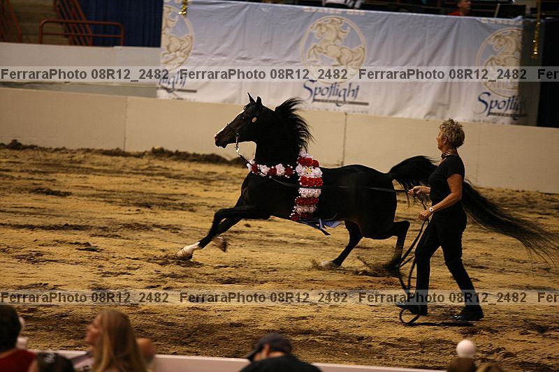 Proof 08r12_2482