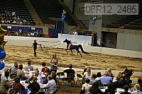 08r12_2485 proof