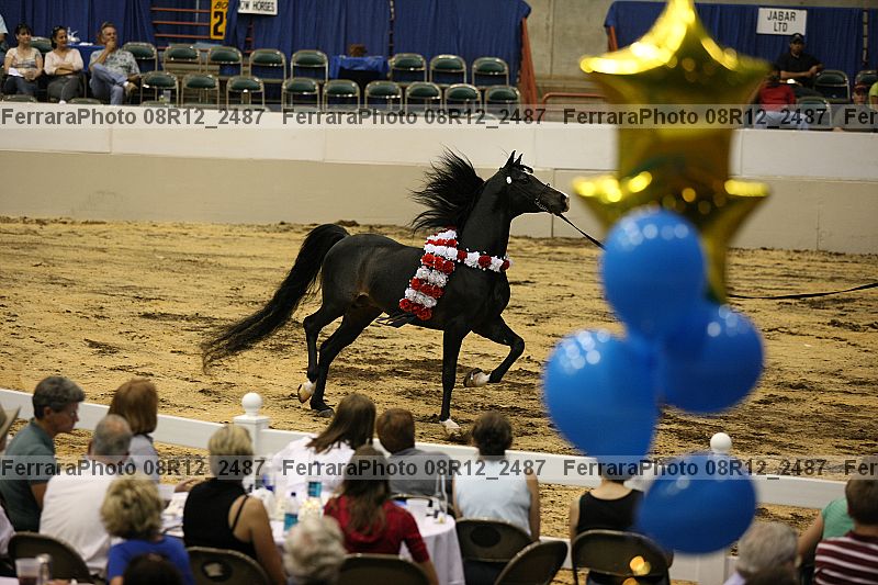 Proof 08r12_2487