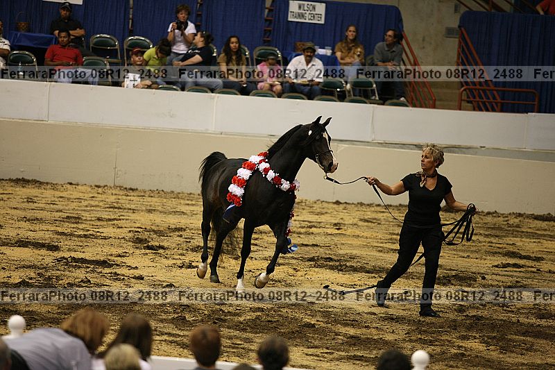 Proof 08r12_2488
