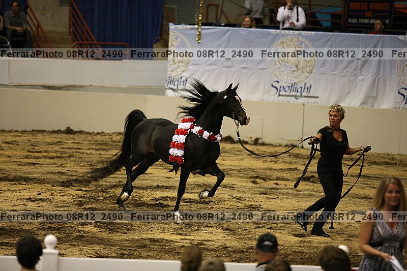 Proof 08r12_2490