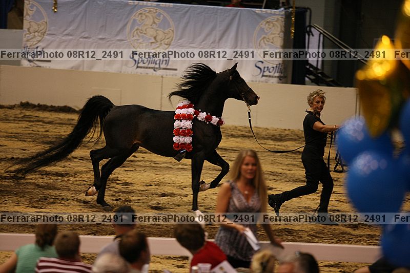Proof 08r12_2491