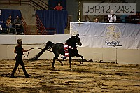 08r12_2492 proof