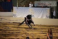 08r12_2493 proof