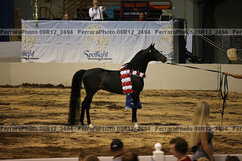 Proof 08r12_2494