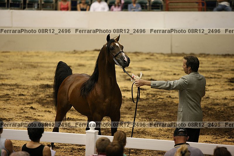 Proof 08r12_2496