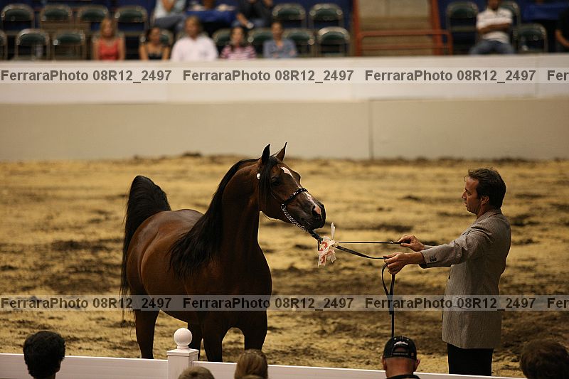 Proof 08r12_2497