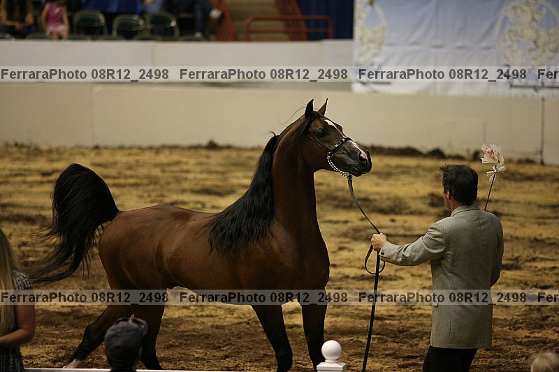 Proof 08r12_2498