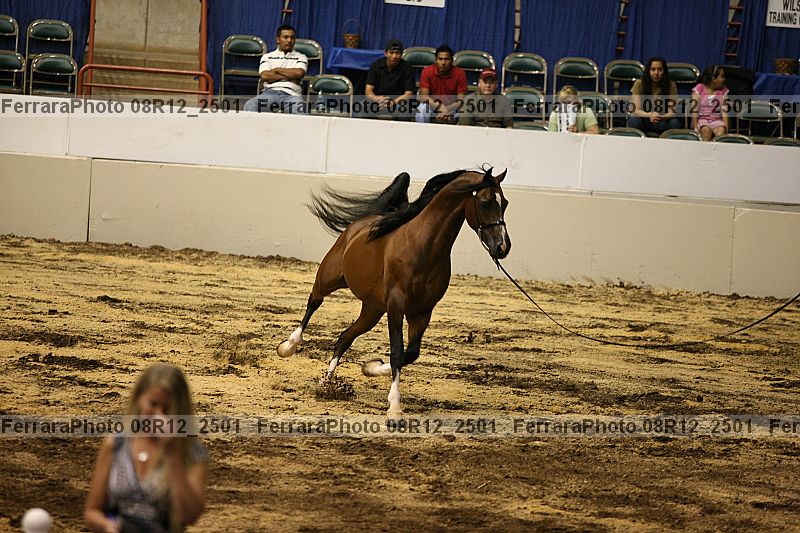 Proof 08r12_2501