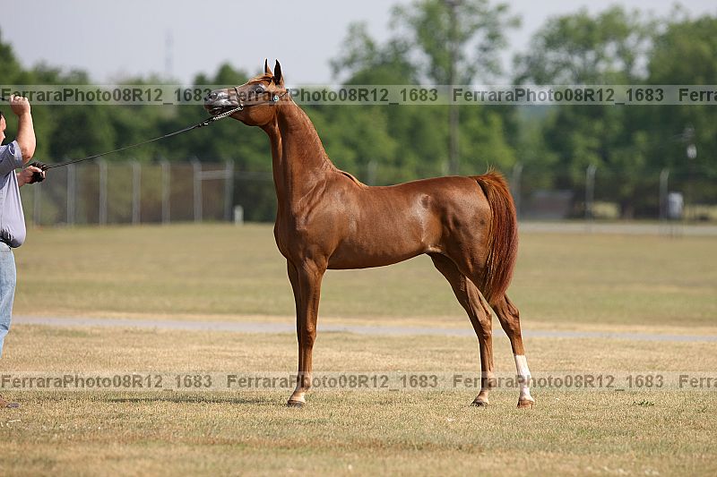 Proof 08r12_1683